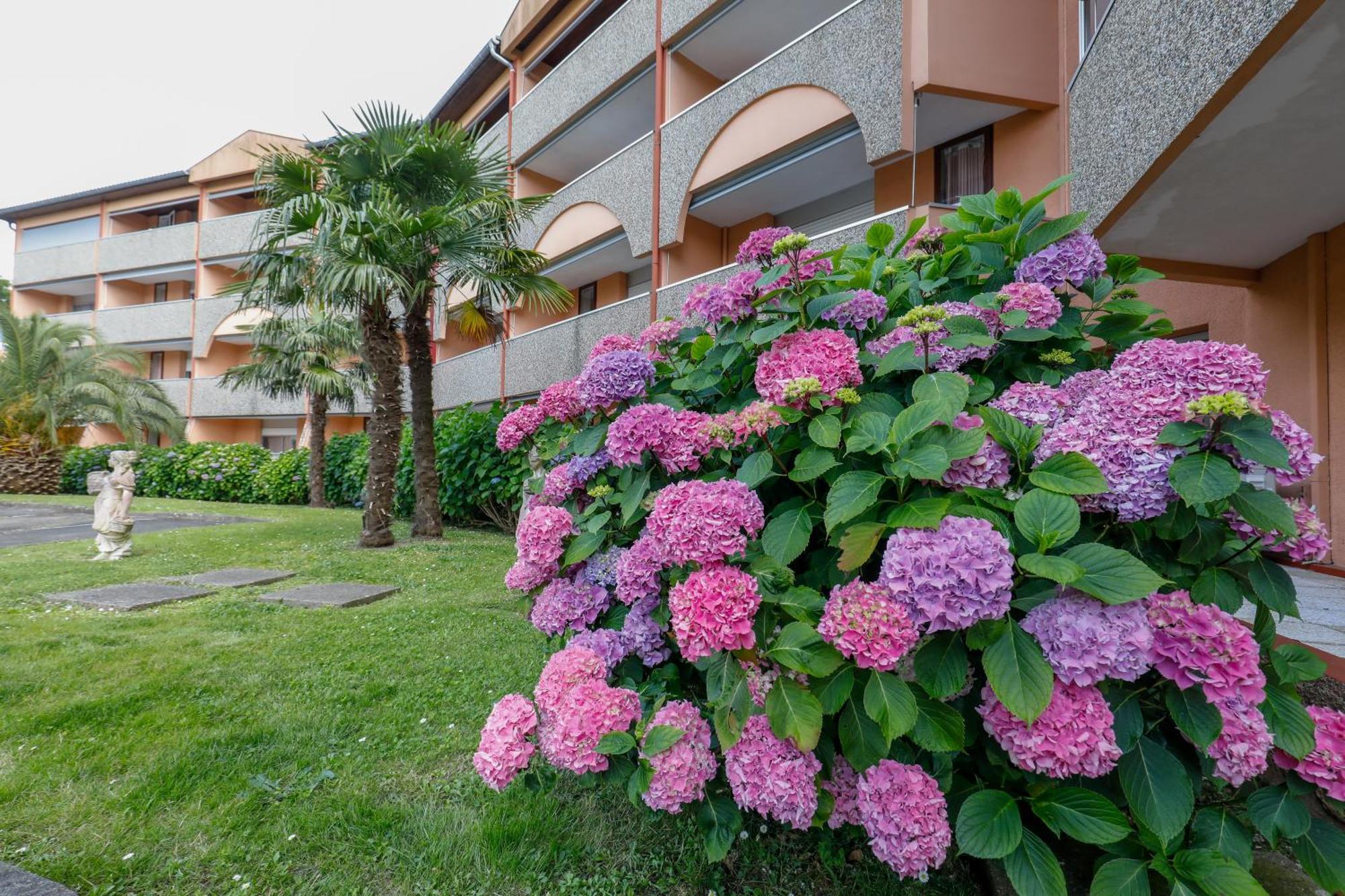 Les Terrasses De Borda*** Hotel Dax Ngoại thất bức ảnh